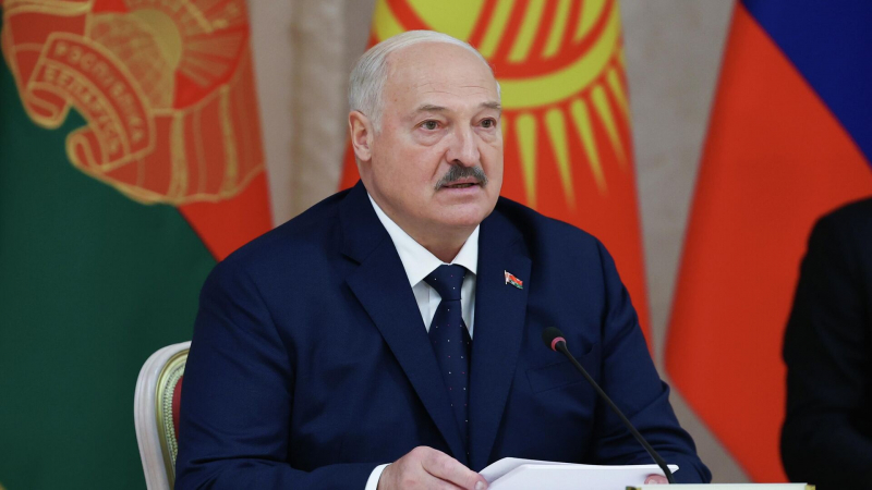 Лукашенко потребовал устранить недоработки в расчистке поваленного леса